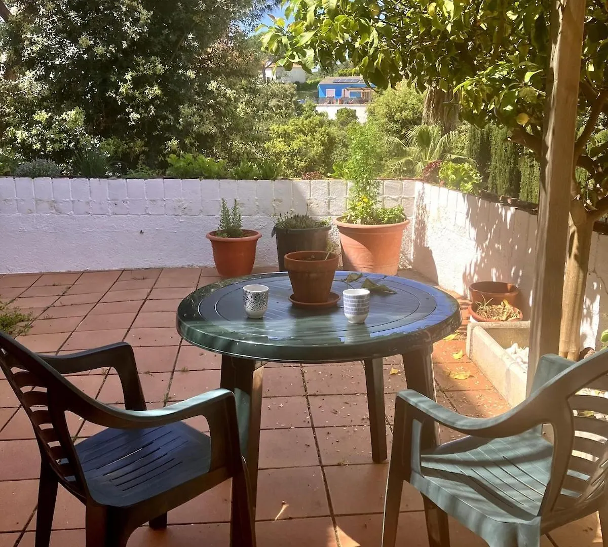 Estudio Limonero En Sant Cebria De Vallalta