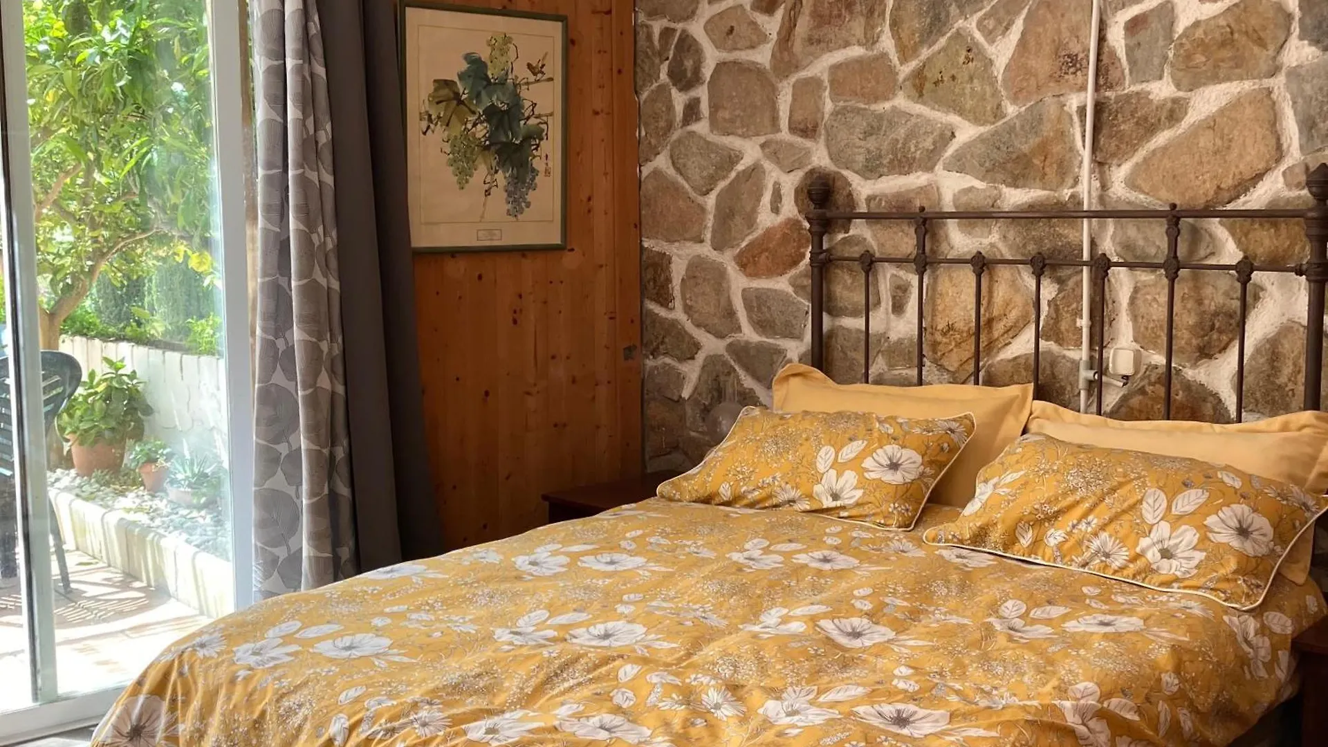 Estudio Limonero En Sant Cebria De Vallalta Spain